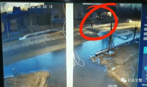 杞县当地人爆料视频最新,最新视频揭露惊人真相！